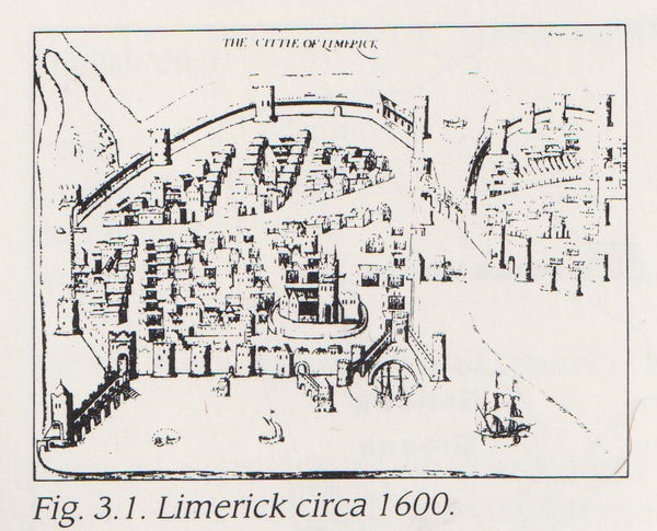 Exploring Limerick's Past – Love of Ireland Books